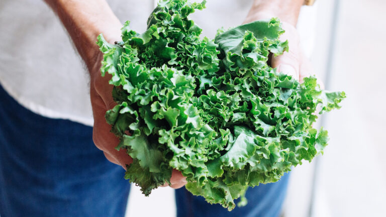 Fall Gardening: Which Veggies Can Handle the Cold?