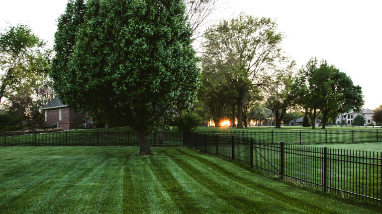 The ABC’s of Lawn Care: How to Improve Your Lawn’s Wow Factor for Resale