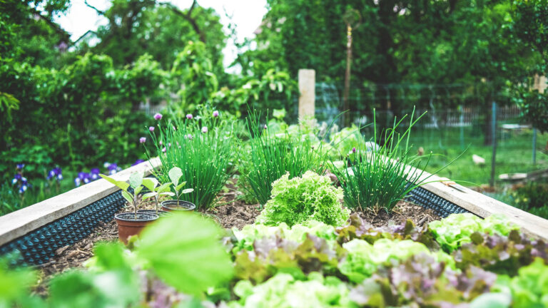 How to Prepare Your Garden for the Fall Months