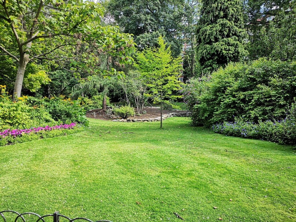 5 Things Homeowners Forget to Budget For