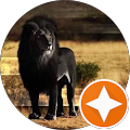 Rodney M. Carter Sr. Avatar